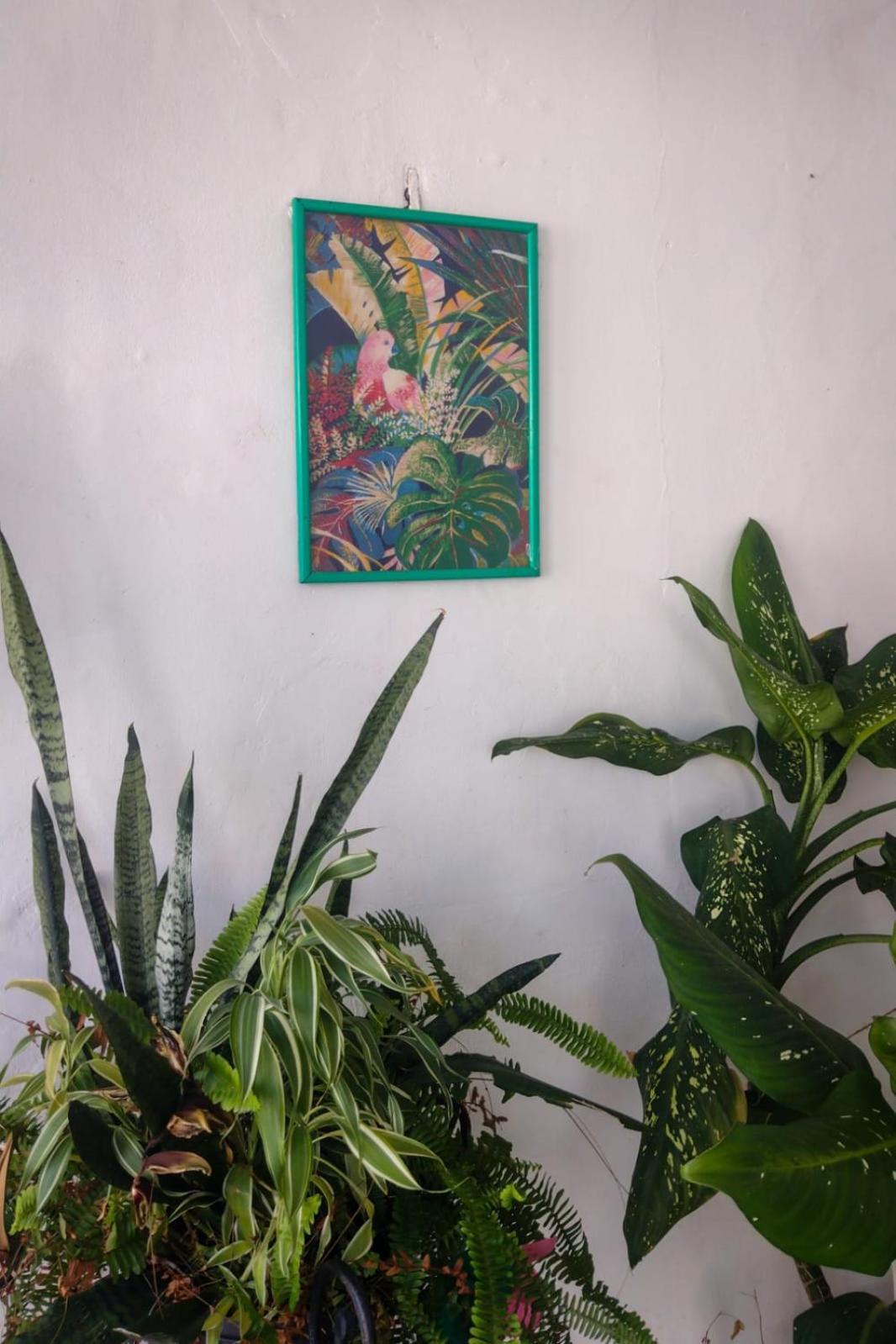 בלם Hostel Residence Girassol מראה חיצוני תמונה